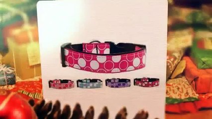 Luxury On A Leash - Best Online Pet Store in USA