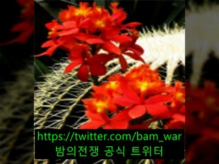 〔잠실립카페 빙고〕 ォ 안락립카페 《 밤워 》사가정립카페