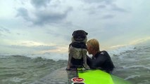 Surfing Balance Skills | Brandy The Pug