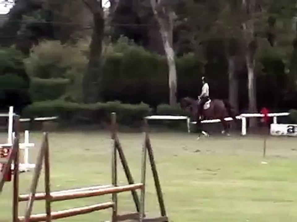 Entrenamiento Argentina Horses