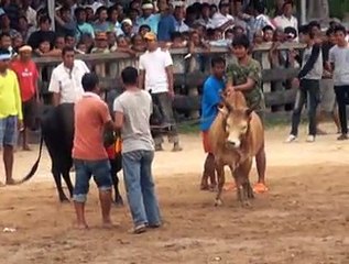 VCD 6.ขาวจอมเจ้าเล่ห์-ดุกด้างวันมงคล