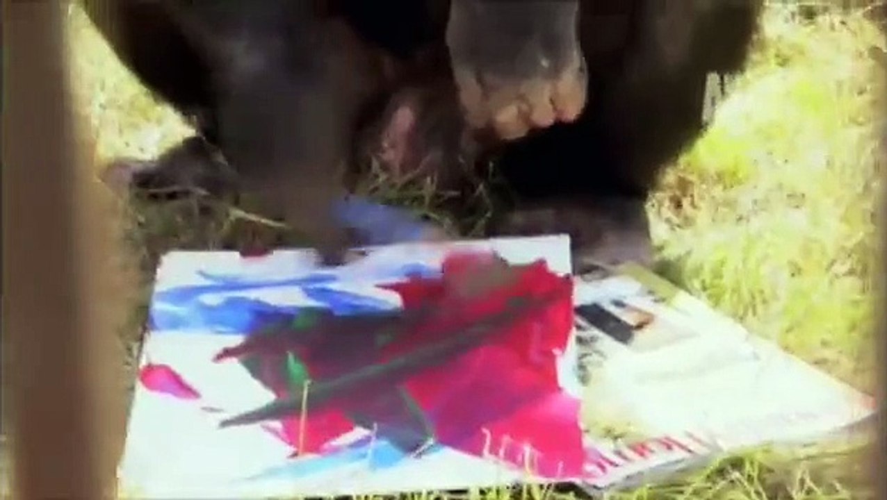 Fatal Attractions: Chimp Attack