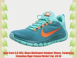Nike Free 5.0 (V5) Mens Multisport Outdoor Shoes Turquoise (Catalina/Hypr Crmsn/Blchd Trq)