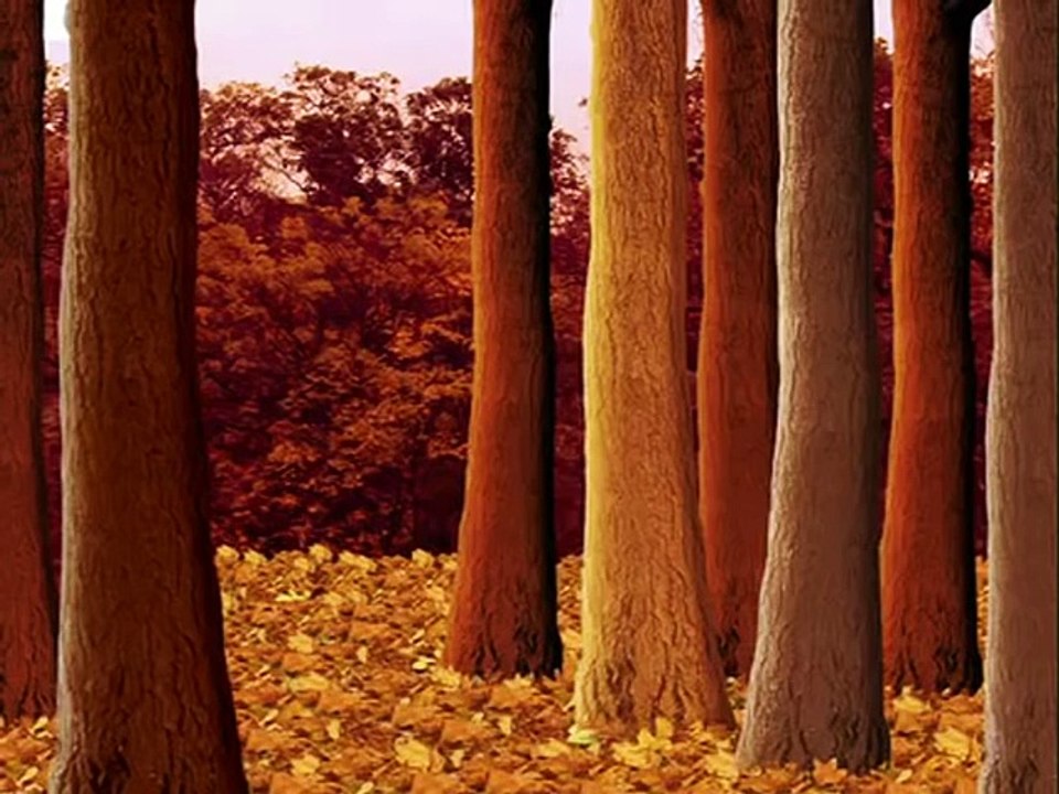 Avez-Vous Déjà Vu  - Super Arbre, le Super Héros des Arbres