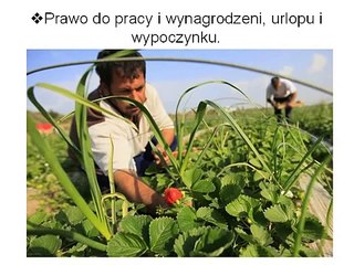 WOS   Lekcja 47  Pojęcie i geneza praw człowieka