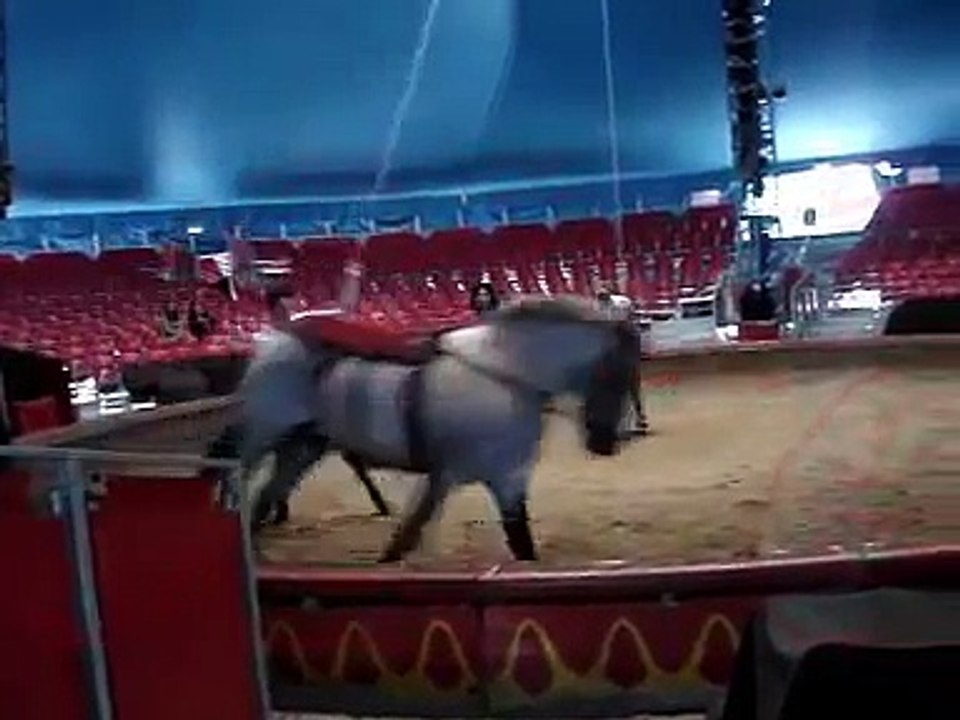 Zirkus Knie