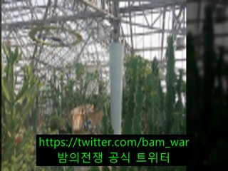 〈선릉립카페 물〉 ブ 월평립카페【 밤워 】 ぬ 광주북구립카페