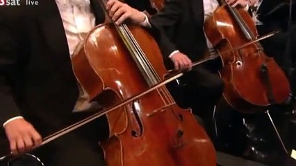 Franz Liszt "Les Preludes" VIENNA 2011