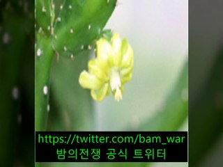 『일산립카페 크린』 ご 부산역립카페〘 밤전 〙종로5가립카페