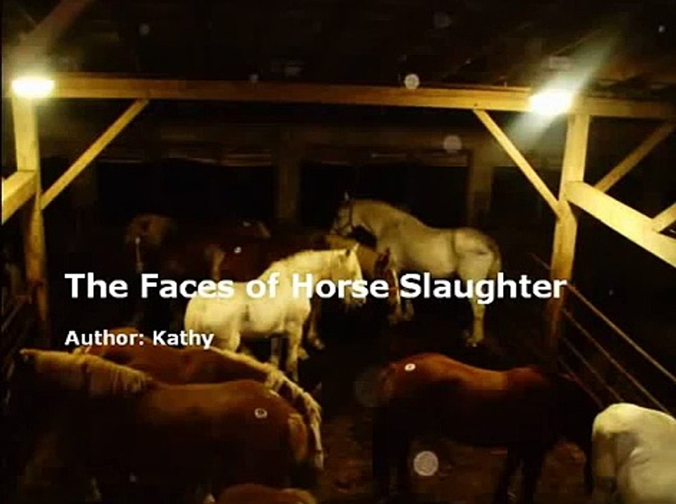 The Faces of Horse Slaughter