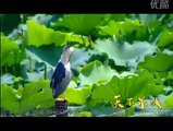 A Bird's Eye View Of Jinan(City of Springs) , China 航拍泉城济南