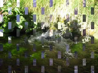 ELMER DE LA CRUZ (TU Y YO PERDIMOS) HUAMBO CAYLLOMA