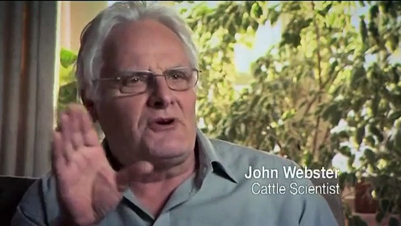 Mud, Sweat & Tractors ~ Beef