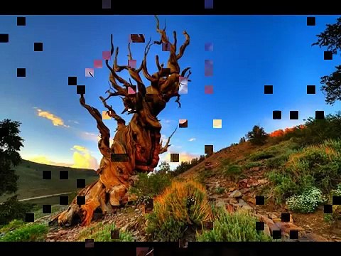 Amazing Places|Beautiful Places|Amazing Places In The World|Amazing on earth#