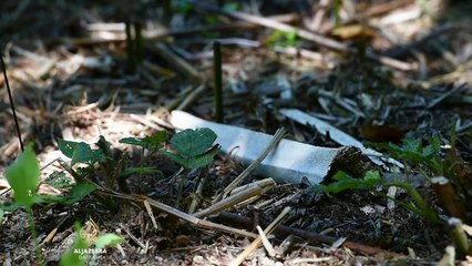 Kopači masovni grobnica (Dokumentarni film)