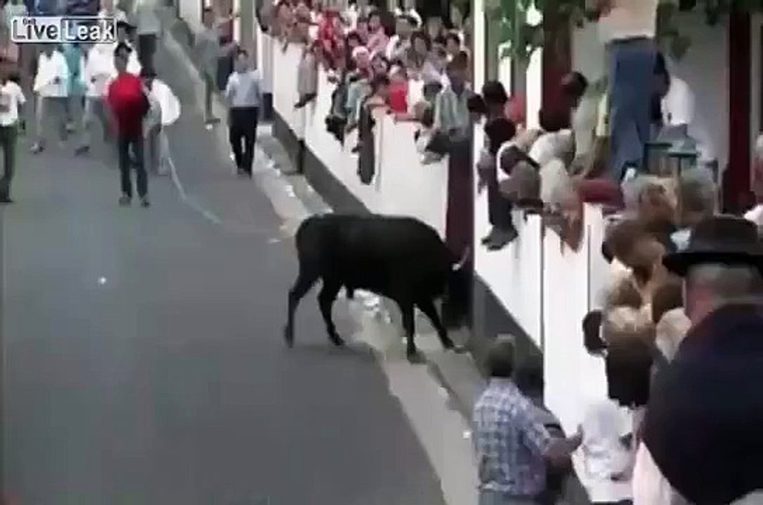 Marradas! Bull Win Compilation