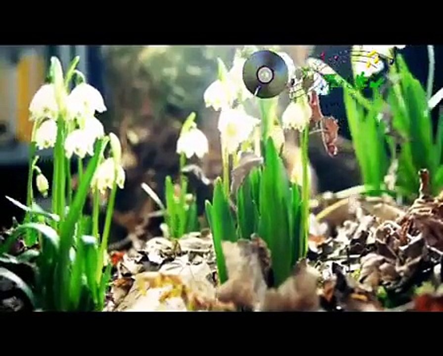Nghẹn ngào - Huy Thái -Karaoke