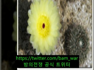 《노원립카페 싸바싸바》 フ 잠원립카페〔 밤워 〕 シ 사직동립카페