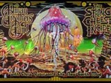 The Allman Brothers -Wasted Words