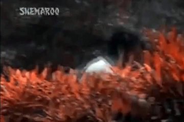 Tumko Humari Umar Lag jaye.