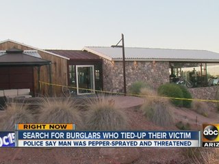 Search on for burglars who tied-up their victim