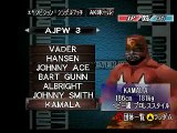 My Virtual Pro Wrestling 2 translation