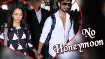 Shahid Kapoor and Mira Rajput will not go for Honeymoon! Watch How