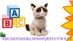 Gund Grumpy Cat Plush Stuffed Animal Toy Singing ABC Song