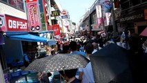 STUDIO GHIBLI, HARAJUKU AND SHIBUYA CROSSING.