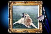 Pet portraits. Paintings in oil of dogs, cats and more...