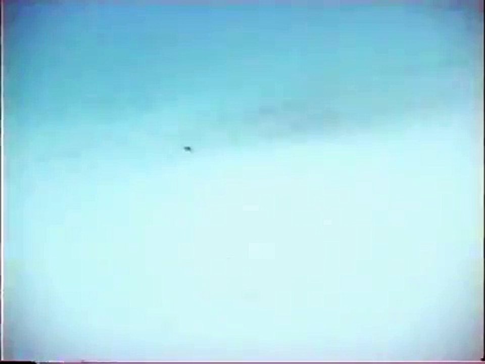 Leeann Tweeden Bluetorch