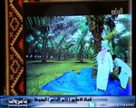 قناة الريان القطرية تقرير عن سوق تمور بريدة 1434هـ