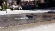 Brunnen Friedrichstraße - Hund spielt im Wasser