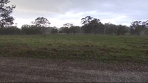 Severe Hailstorm - Gunning, NSW, 8th March 2014