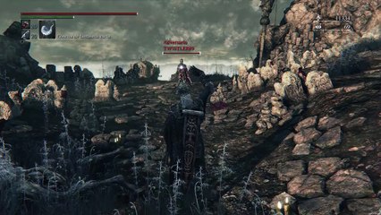 Bloodborne PVP Good fight