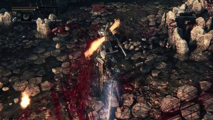 Bloodborne™PVP Good fights 3