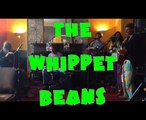 the whippet beans - 'bring back diana' live at loco (song for lady diana)