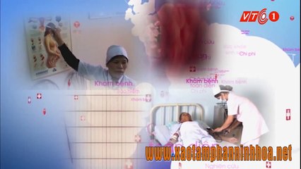 Các bài thuốc chữa bệnh từ Tam Thất Bắc