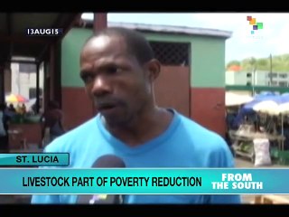 BRICS Countries Finance FAO Livestock Project in Saint Lucia