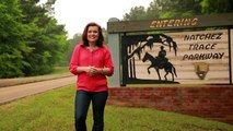 Road Trip on the Natchez Trace Parkway in Mississippi: American History, & Blues Music