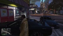 Grand Theft Auto V gun store robbed