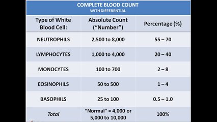 Understanding CBC White Blood Cell Differential: Absolute Count vs. Percentage 🩺