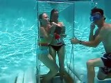 Underwater lunch , Orange Park, Jacksonville, Pool party idea,  fun pool toy, fun pool game.