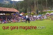 Hermosos Caballos en Ecuador - Horses Show (The most beautiful horses in the world)