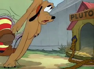 Pluto - Pantry Pirate