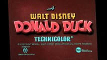 Donald Duck Cartoon Full Episodes -  Donald Duck Donalds Camera 1941