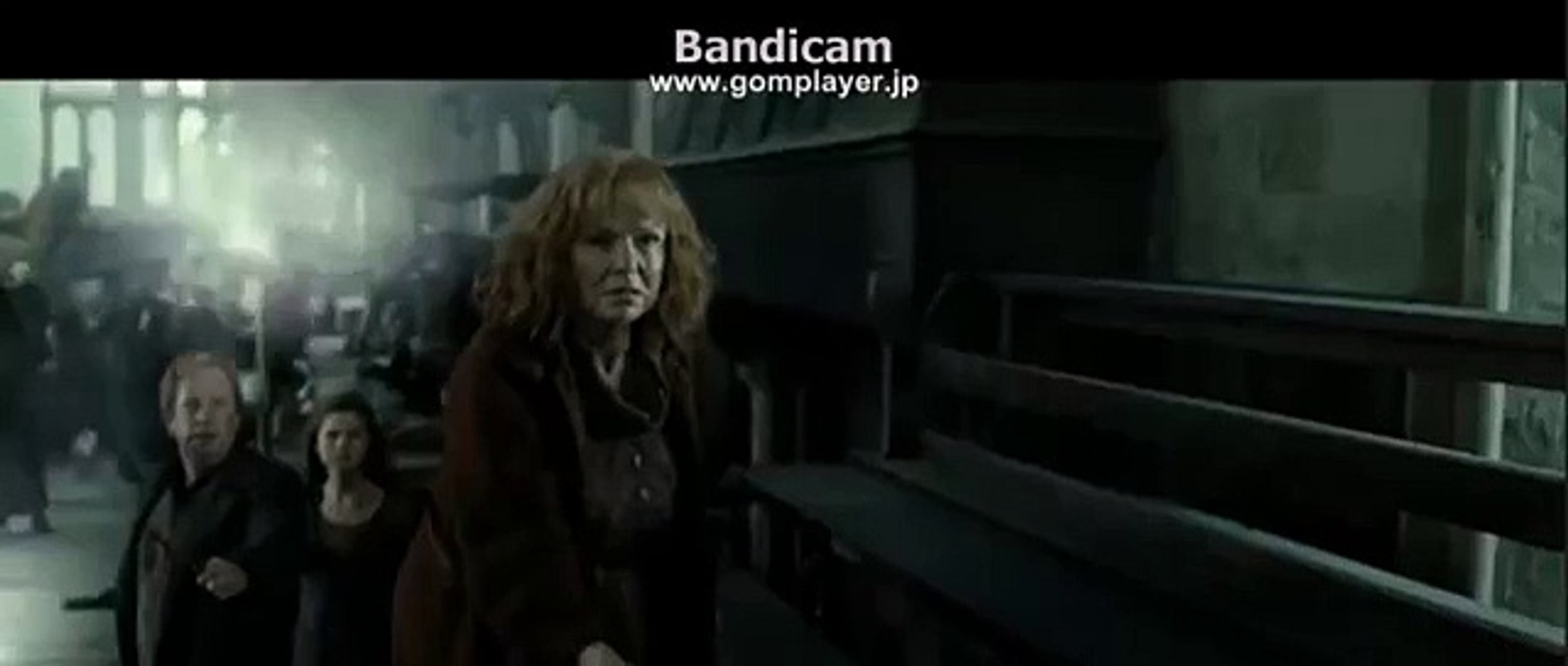 ハリーポッター モリーウィーズリーvsベラトリックスレストレンジ Video Dailymotion