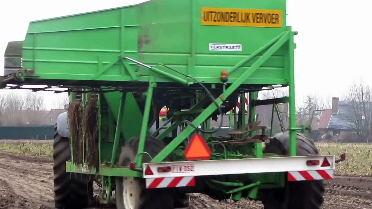 Loonbedrijf Lootens F schorseneren rooien- John Deere 6520 en 6920 met Verstraete rooier
